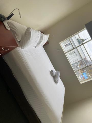 Knickerbocker Hotel Bathurst Ngoại thất bức ảnh